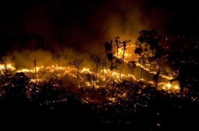 amazonas incendio grave selva amazonica