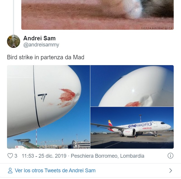 Iberia chocha pájaro twitter
