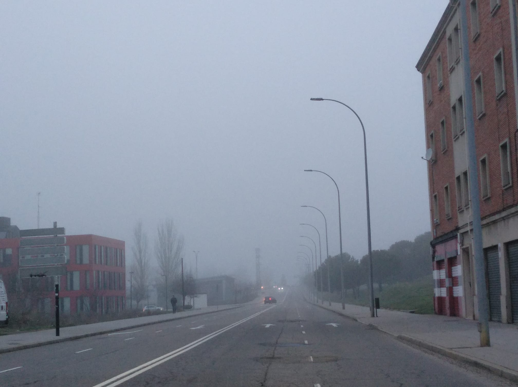 niebla león