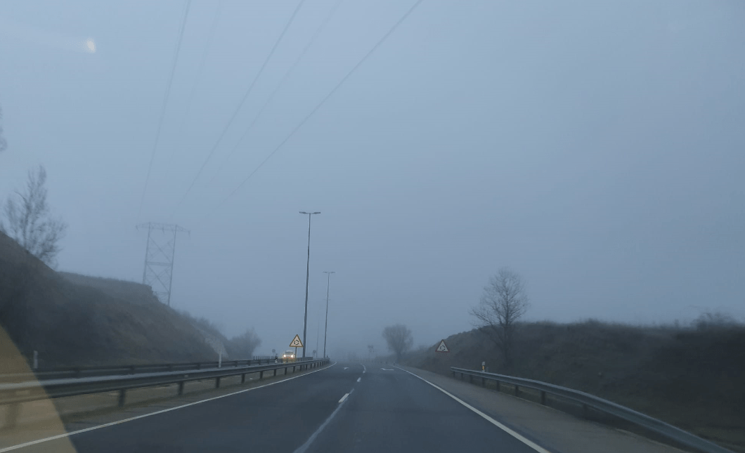 niebla león