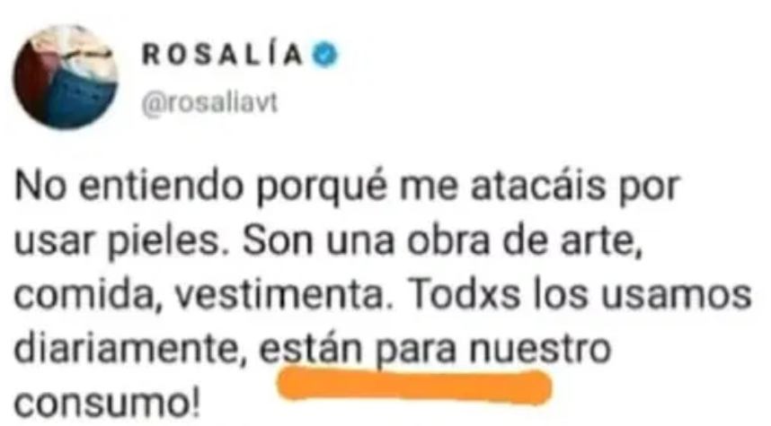Nuevos ataques a Rosalía por usar abrigos de piel animal 10
