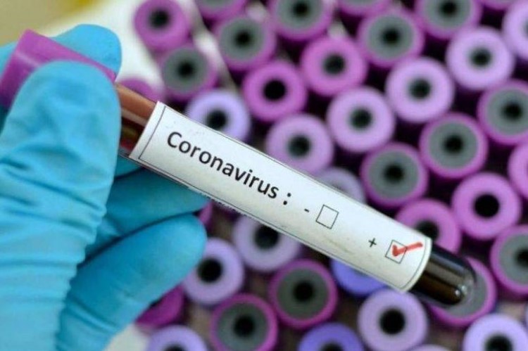 coronavirus en valladolid