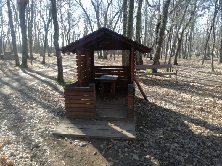 Así está el Monte San Isidro tras las heladas en León 22