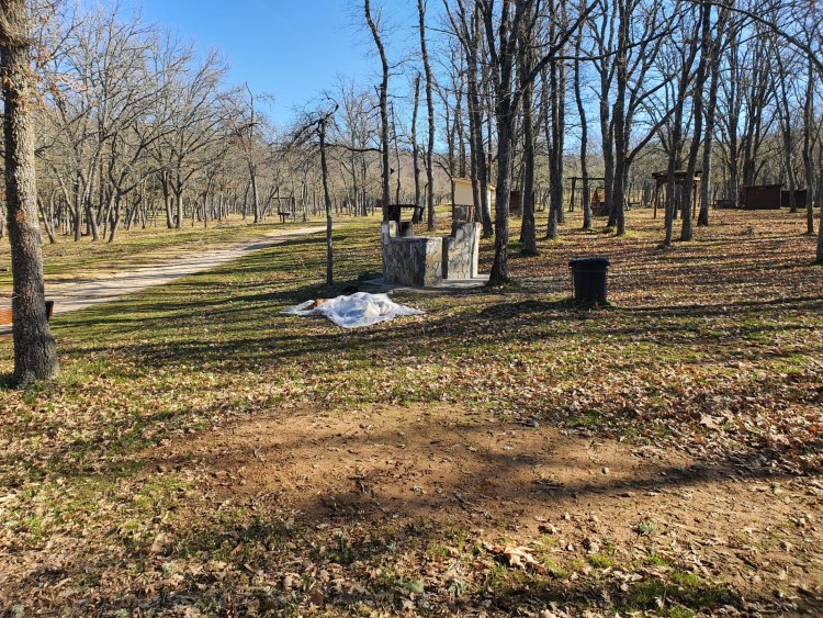 Así está el Monte San Isidro tras las heladas en León 25