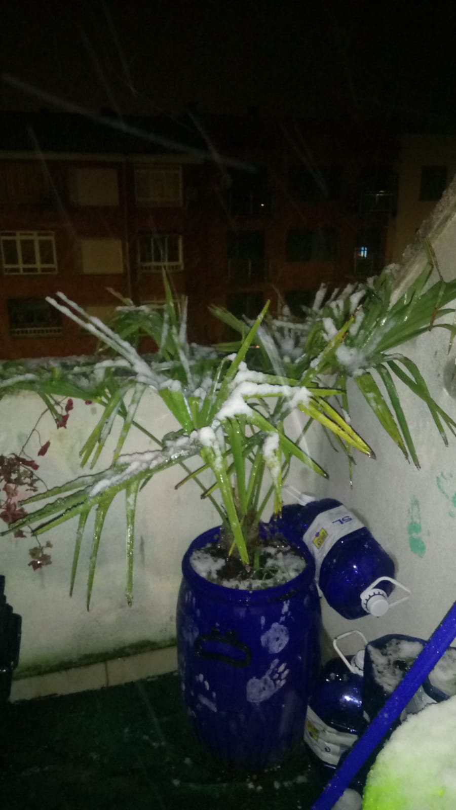 La nieve vuelve a León