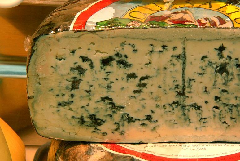 El queso de Valdeón entre los mejores de España