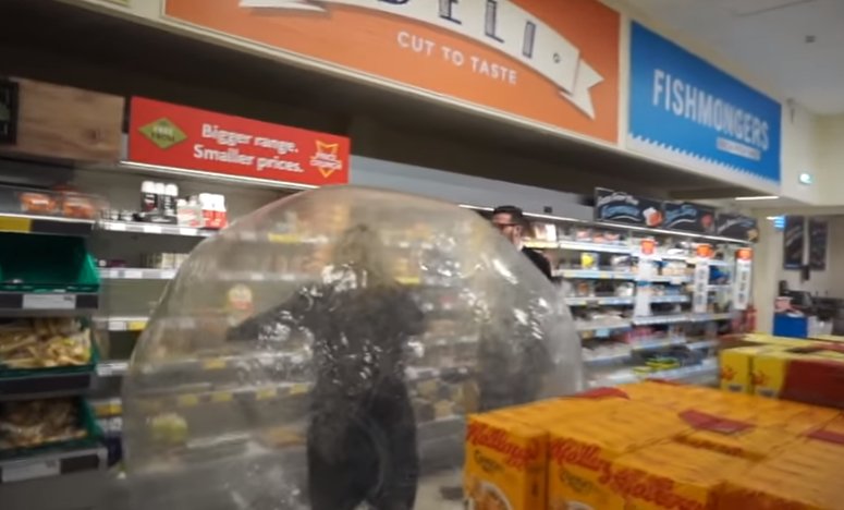 mujer va a comprar al supermercado con bola de plástico
