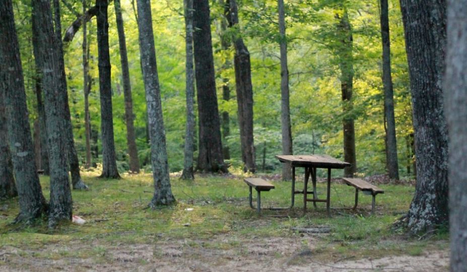 picnic reserva natural