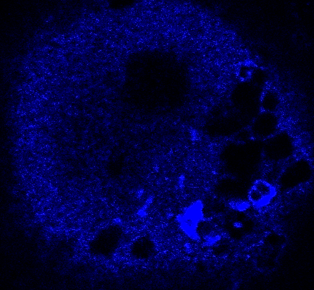 Novedades en la investigación de la Universidad de León