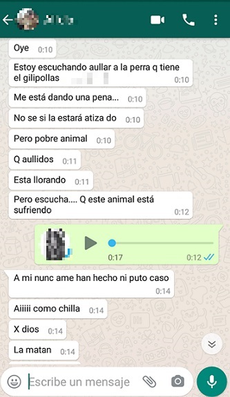 "Raquel de Guau regala un perro peligroso a un deficiente y permite su maltrato"