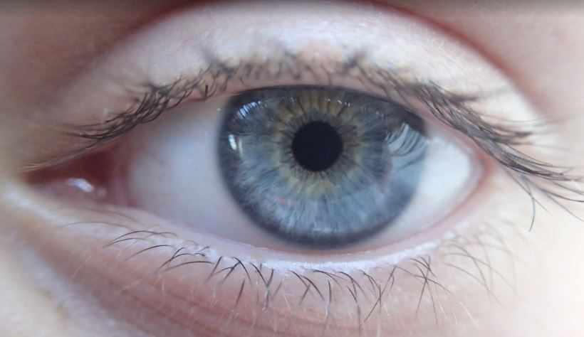 Una fotografía de la retina puede detectar la diabetes