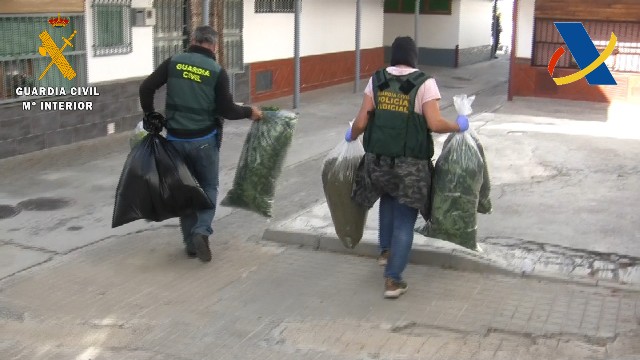 Una organización dedicada al blanqueo de capital del tráfico de marihuana