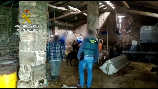 Recuperados los 67 animales robados en La Rioja y Álava