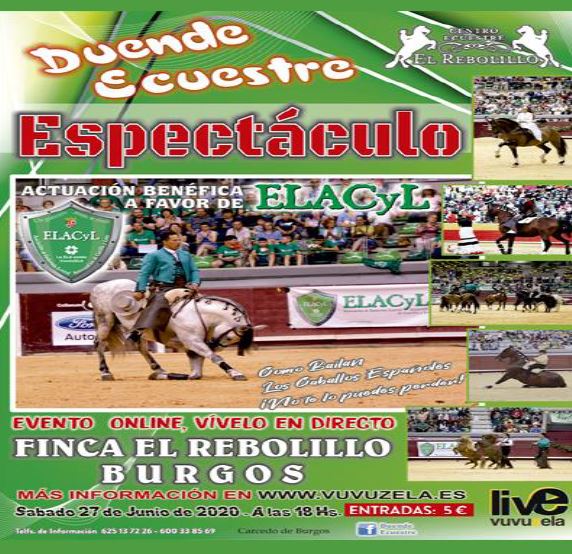 ESPECTÁCULO: Como bailan los caballos españoles 