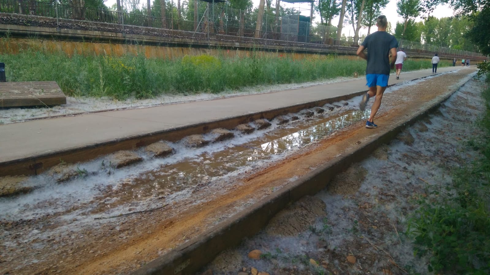 Reclaman al PSOE el arreglo de las sendas peatonales y carril bici del río