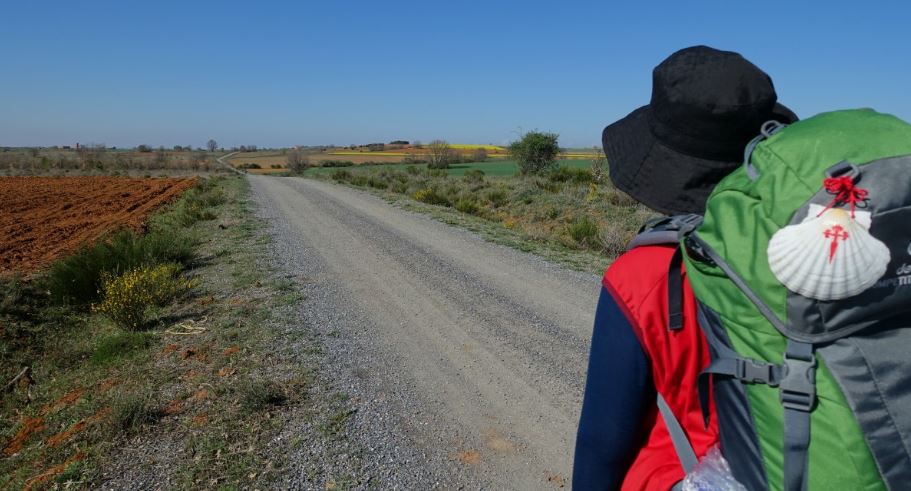 El Camino de Santiago regresa seguro el 1 de julio