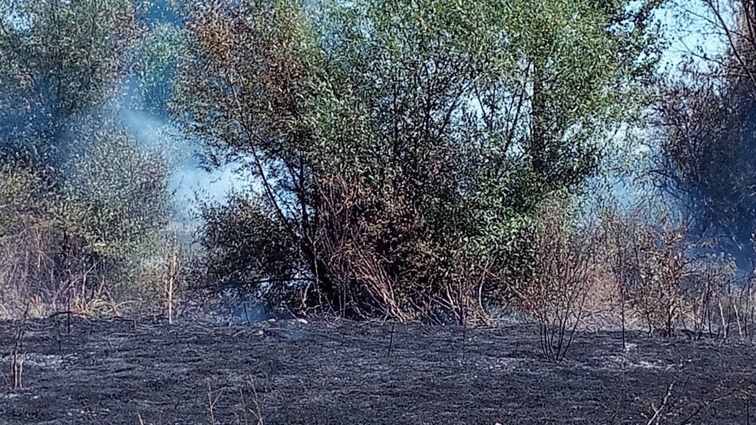 incendio en Vega de Infanzones