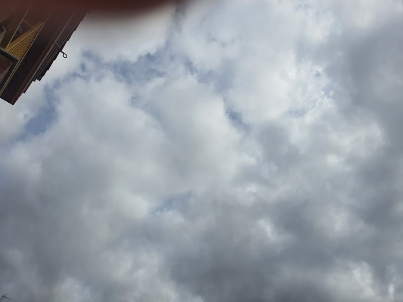 Nube Negra León