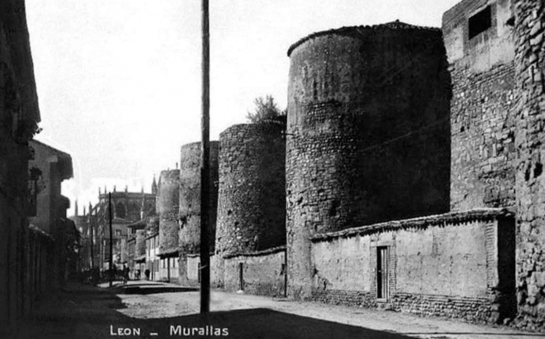 león antiguo a través fotografía