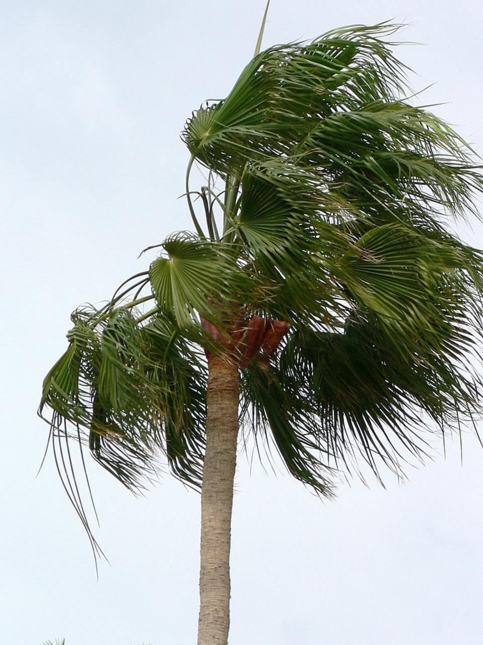 alerta-rachas-viento-fin-semana