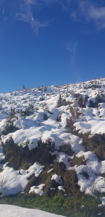 tormenta de nieve