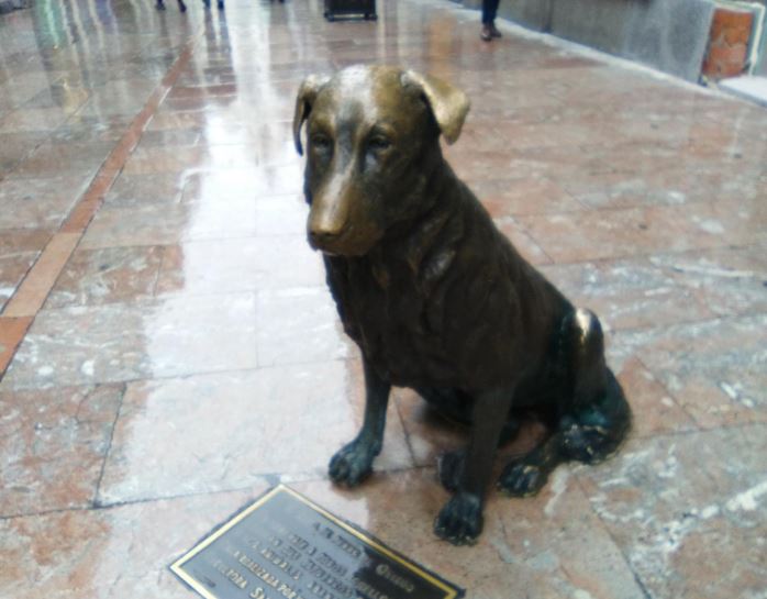 monumento_animales_abandonados