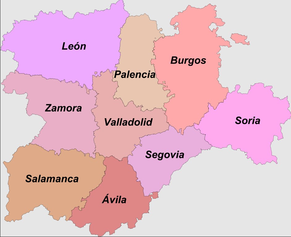 La provincia más afectada por el coronavirus en Castilla y León 1