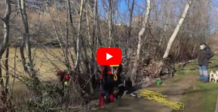VIDEO| Así fue el rescate de un perro en el río Bernesga de León 1