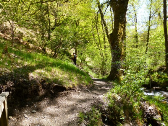 ruta cascada gualta leon