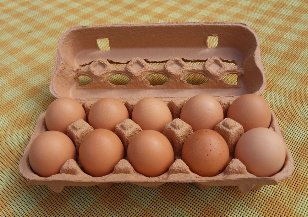 peligroso conservar huevos