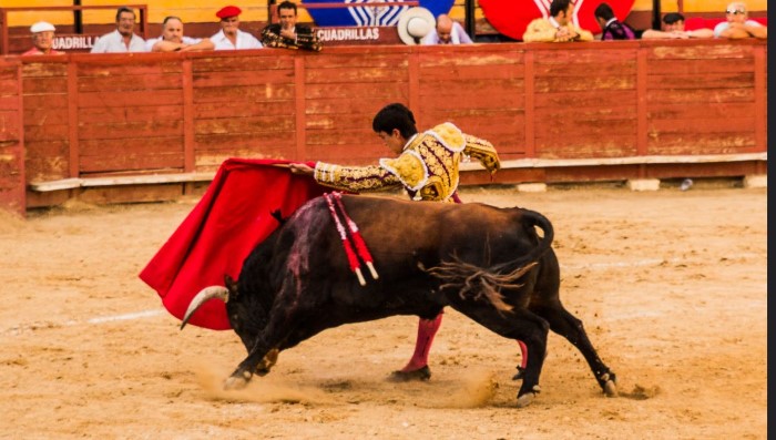 toros leon san juan