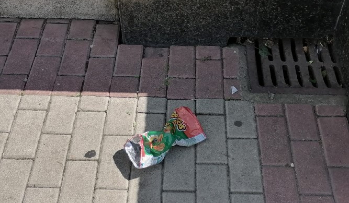 El vergonzoso estado de la Plaza de la Inmaculada llena de basura 1