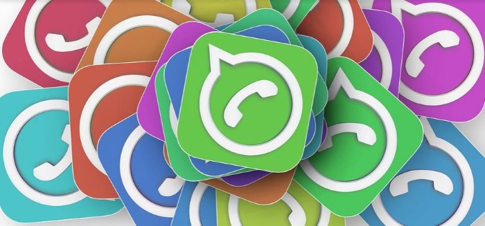 poner icono whatsapp colores