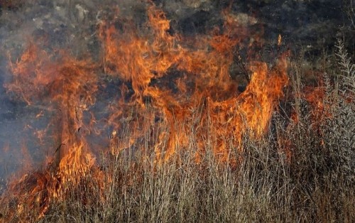 5 incendios leon 17 agosto 2021-Digital de León