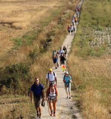 camino de santiago visitas julio- Digital de León