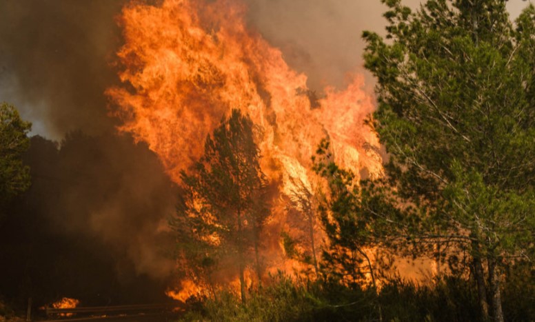 incendios forestales leon-Digital de Leon