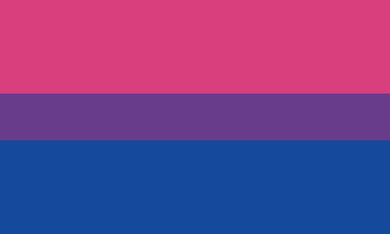 dia visibilidad bisexual-Digital de León