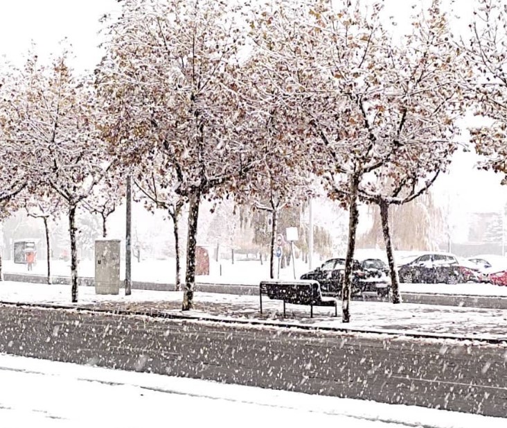 Preciosas imágenes de la nieve este fin de semana en León 10