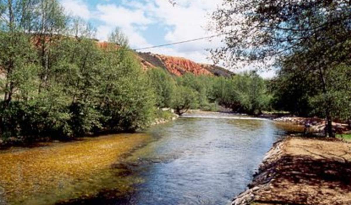 Un nuevo Centro logístico de biomasa forestal en León recibe la luz verde de la Junta 1