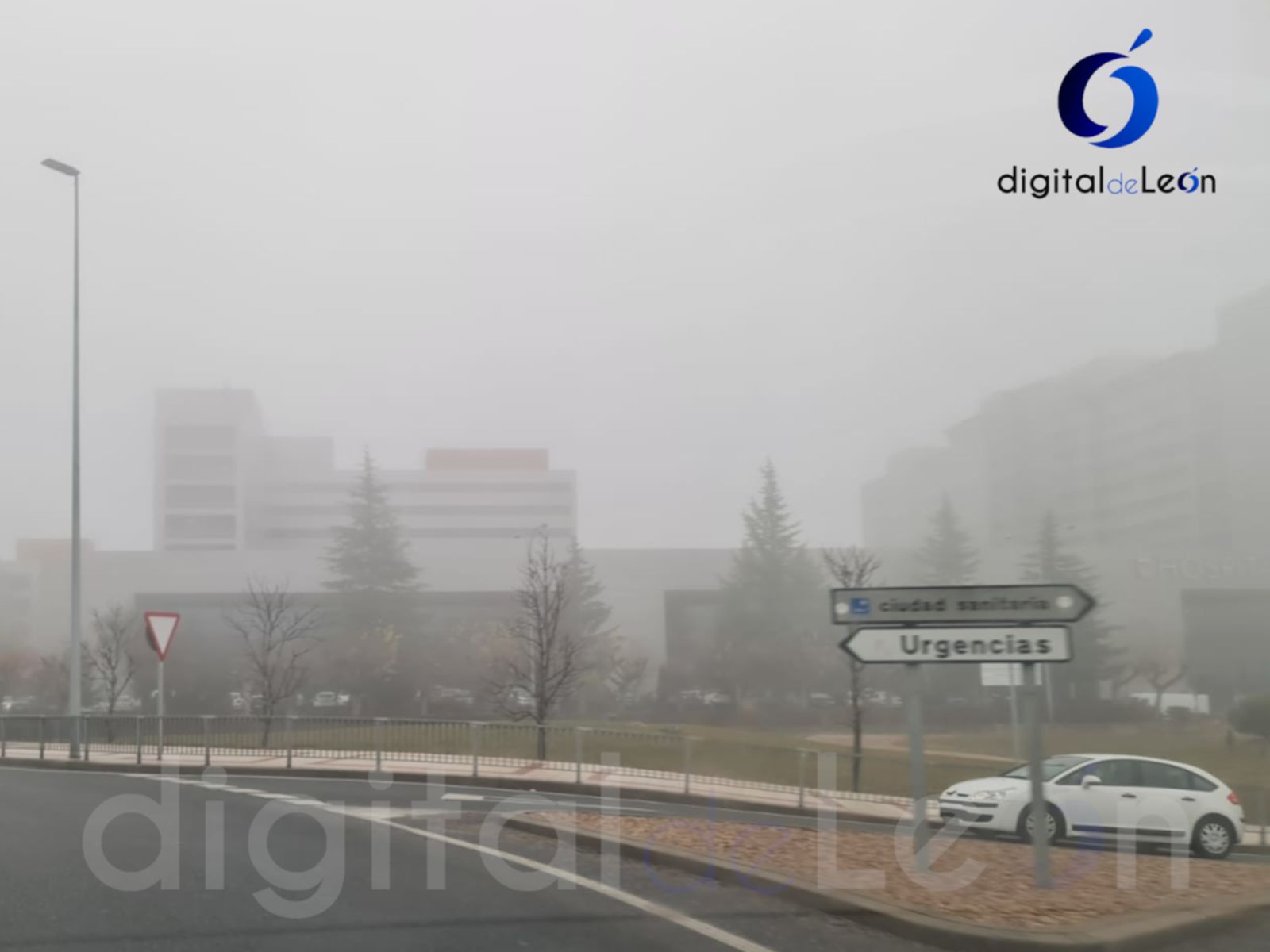 ALERTA| Terrible niebla en la ronda 4
