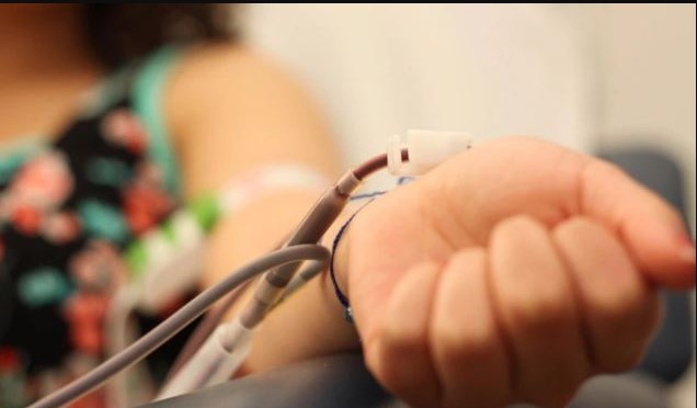 puntos donar sangre en león- Digital de León