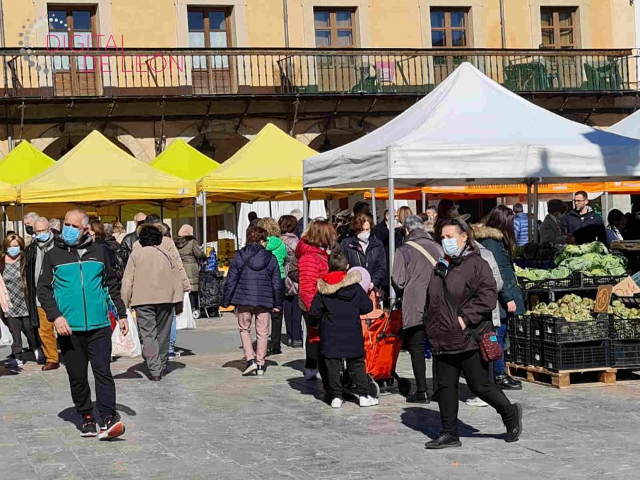 los mil anos el mercado plaza mayor leon - Digital de León
