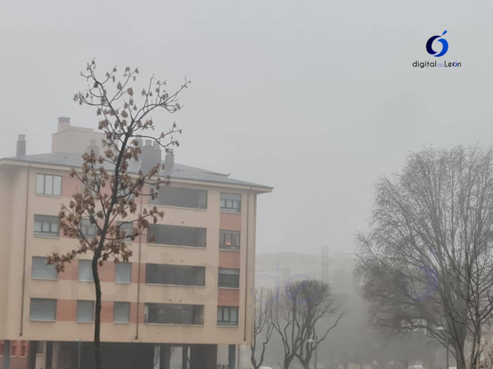 ALERTA | León amanece con densa niebla y lluvia ligera 8