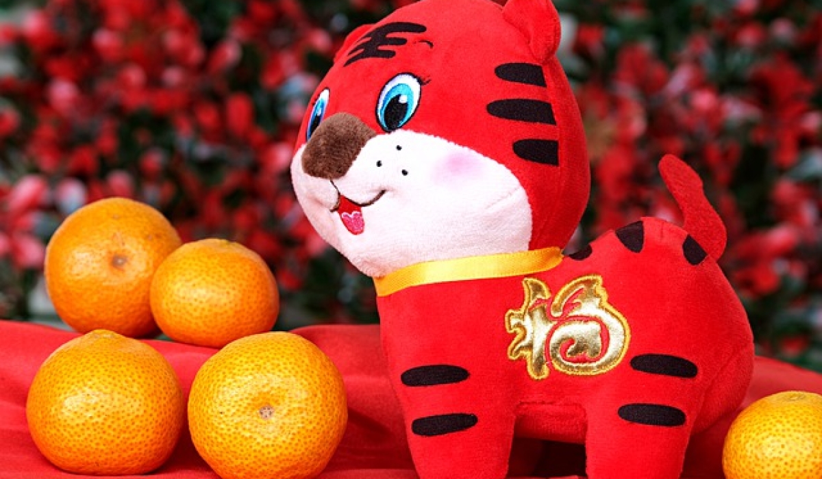 El Año nuevo Chino, el año del Tigre 2
