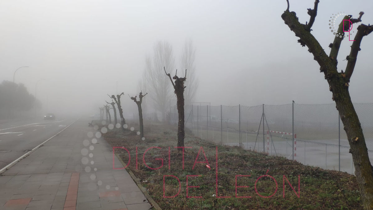 Precaución: densos bancos de niebla sobre León 6