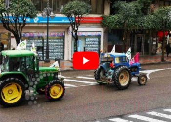 Manifestación de ganadores y agricultores de León