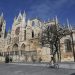 catedral leon