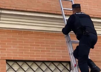La Policía Nacional Rescata a un perro en la ventana - Digital de León