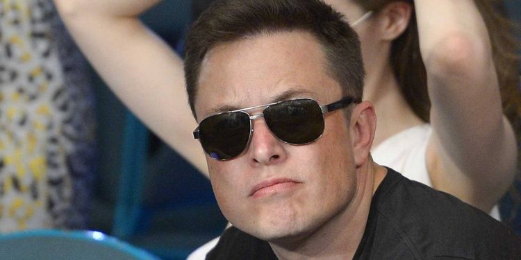 Twitter ya tiene dueño, y ese es Elon Musk - Digital de León