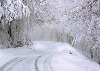 Se activa Alerta en carreteras por nieve - Digital de León